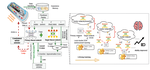 IRDA: Incremental Reinforcement Learning for Dynamic Resource Allocation.